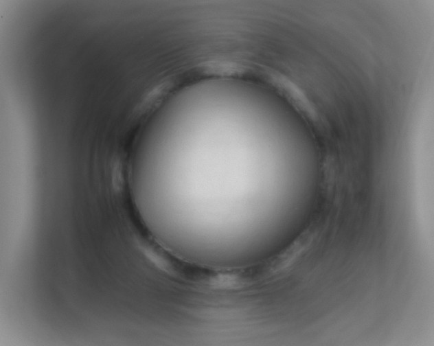 X0000111600114200907301454