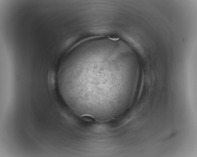 X0000111600115200907301454