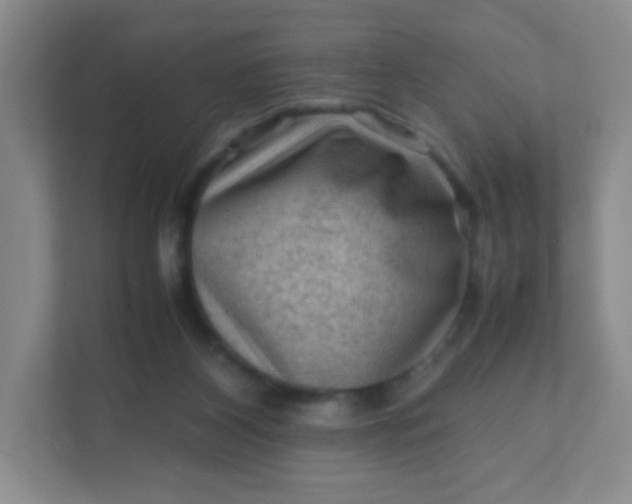 X0000111600116200907301454