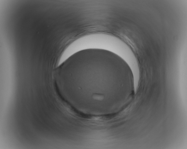 X0000111600117200907301454