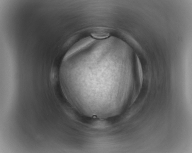 X0000111600119200907301454