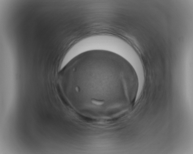 X0000111600121200907301454
