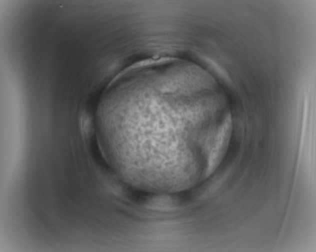 X0000111600123200907301454