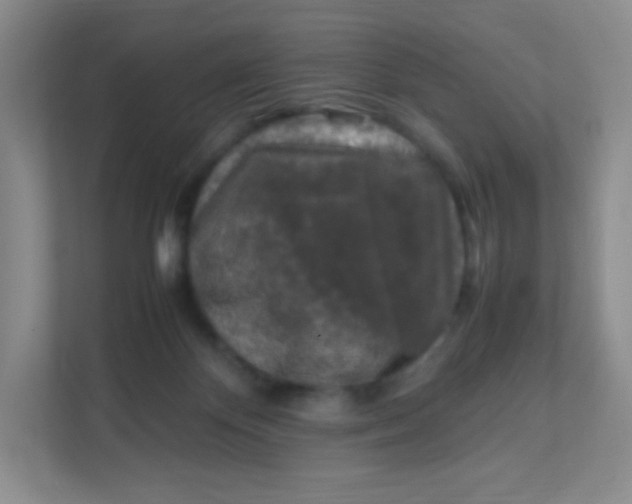 X0000111600124200907301454