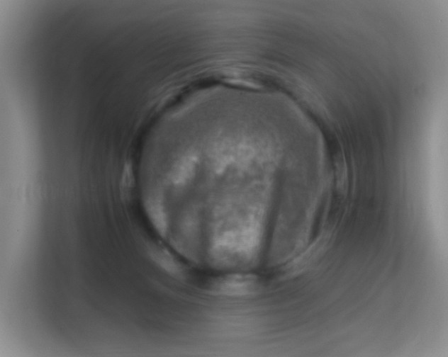 X0000111600128200907301454