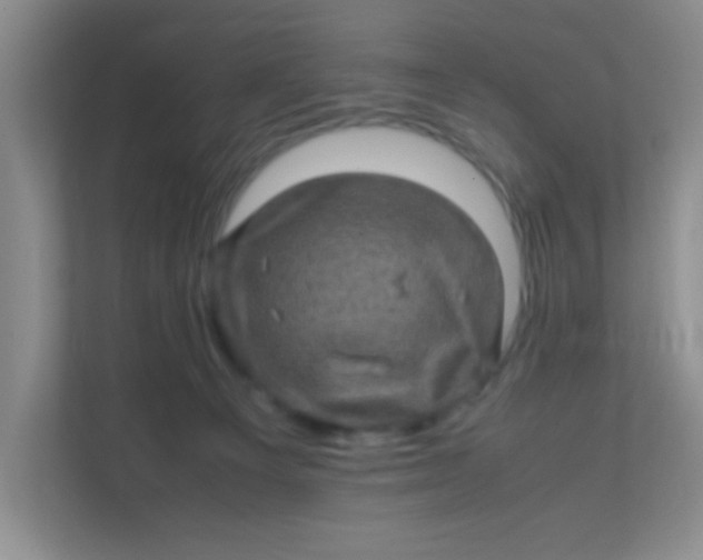 X0000111600129200907301454