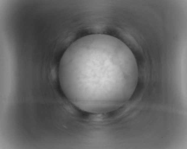 X0000111600131200907301454
