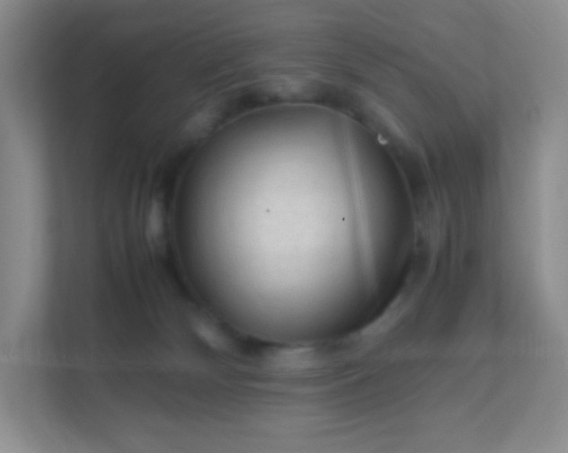X0000111600132200907301454