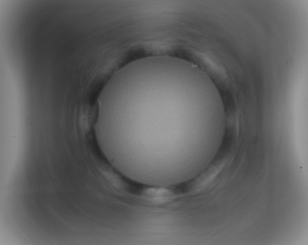X0000111600133200907301454