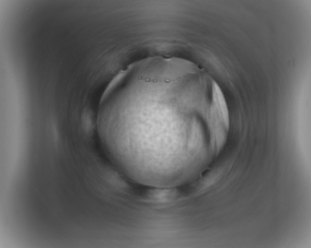 X0000111600135200907301454