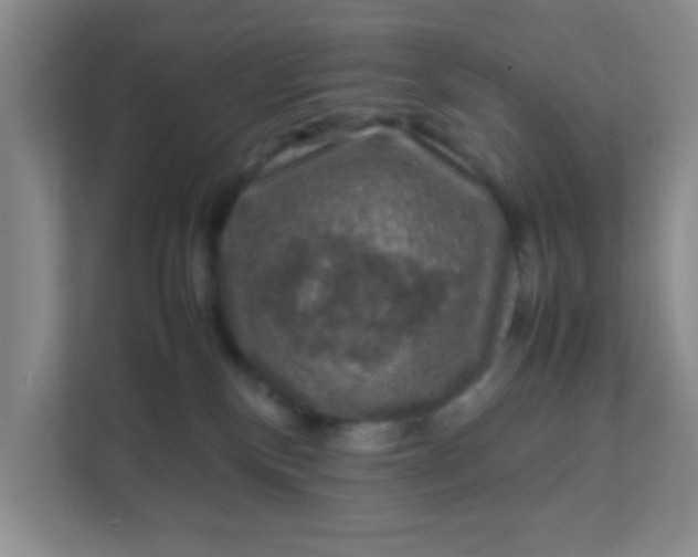 X0000111600136200907301454