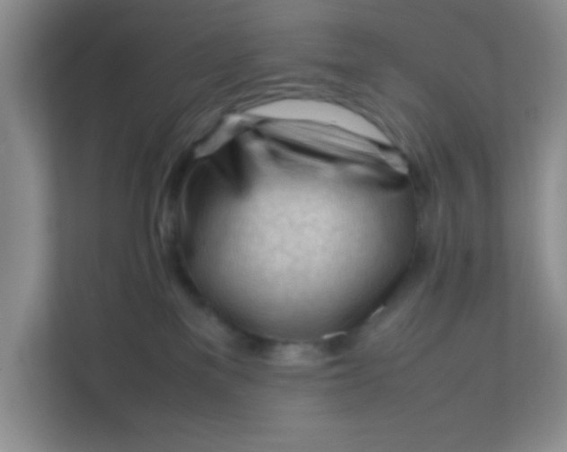 X0000111600137200907301454