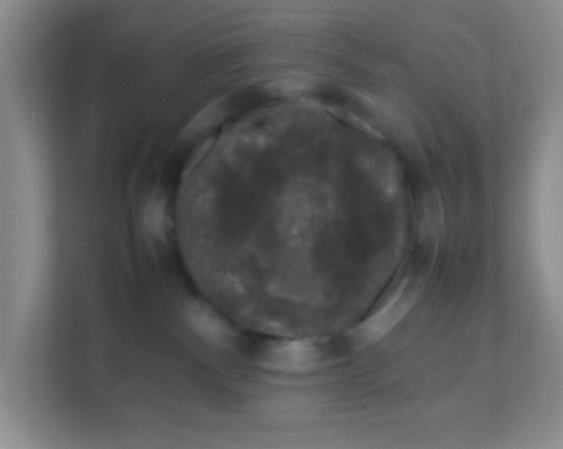 X0000111600140200907301454