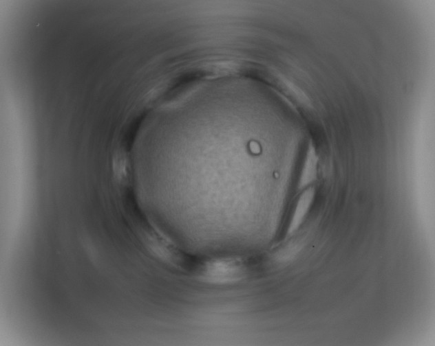 X0000111600141200907301454