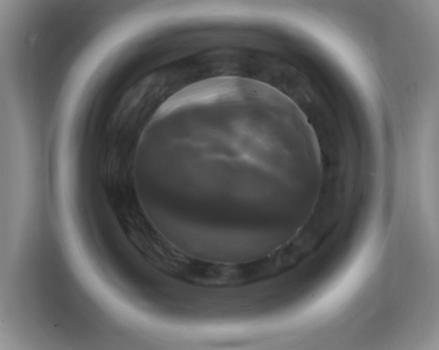 X0000111600143200907301454