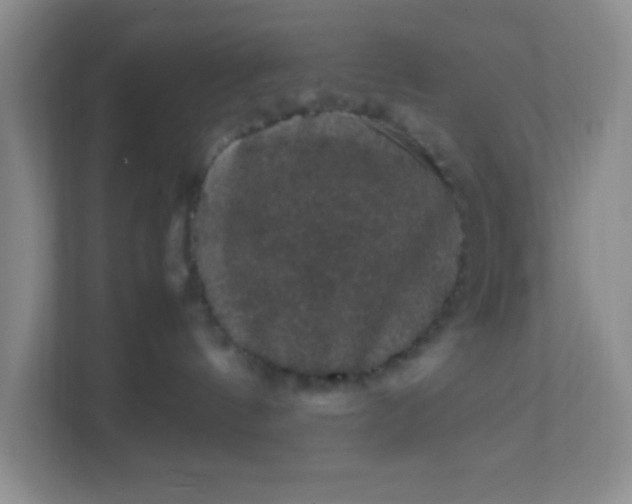 X0000111600144200907301454