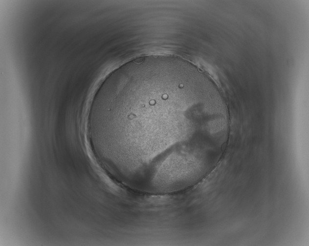 X0000111600145200907301453