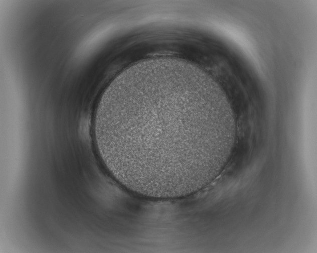 X0000111600146200907301453