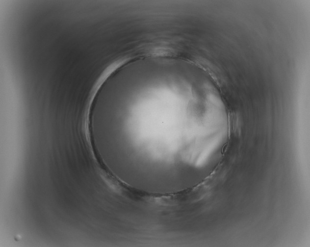 X0000111600147200907301453