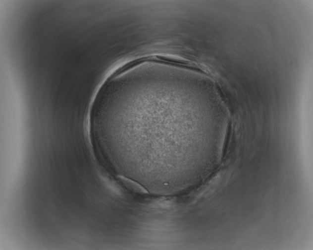 X0000111600148200907301453