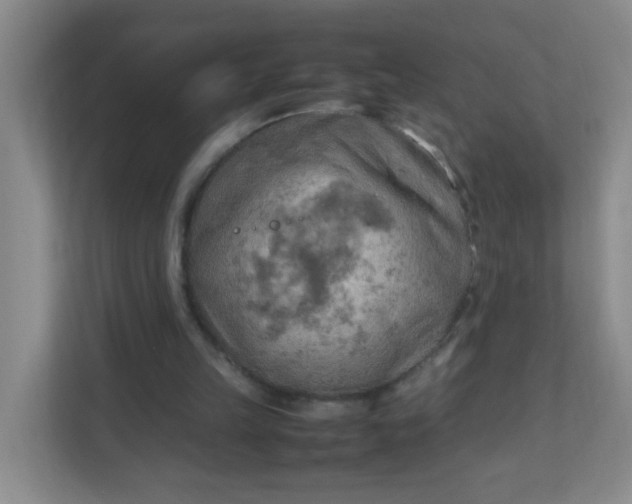 X0000111600149200907301453