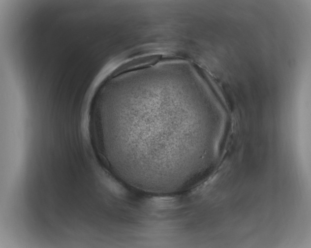 X0000111600150200907301453