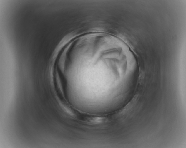 X0000111600151200907301453