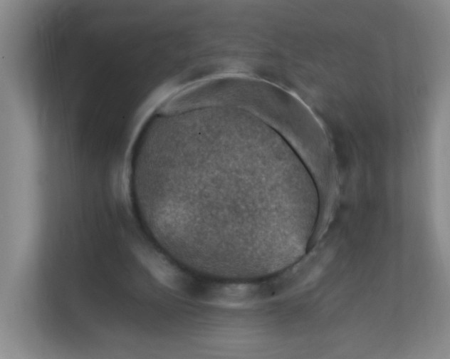 X0000111600152200907301453
