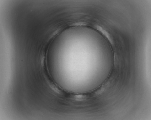 X0000111600153200907301453
