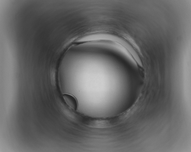 X0000111600154200907301453
