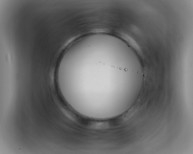 X0000111600155200907301453