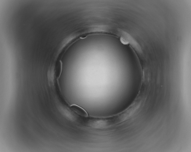 X0000111600156200907301453