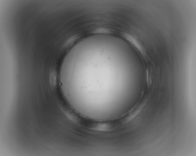 X0000111600157200907301453