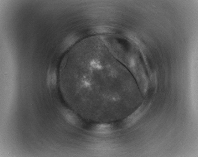 X0000111600158200907301454