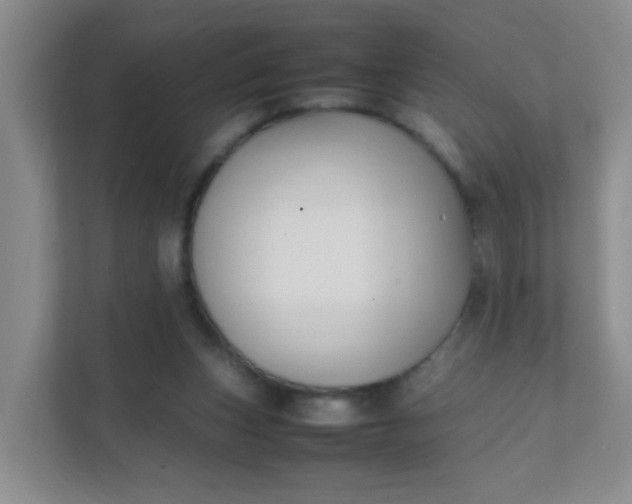 X0000111600159200907301454