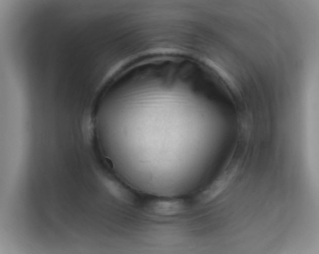X0000111600160200907301454