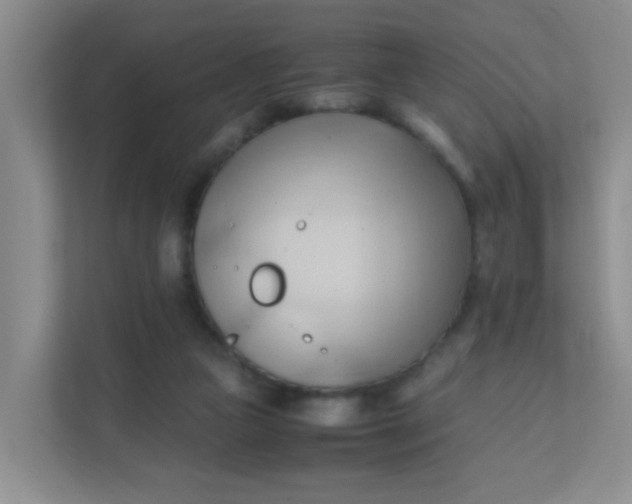 X0000111600161200907301454