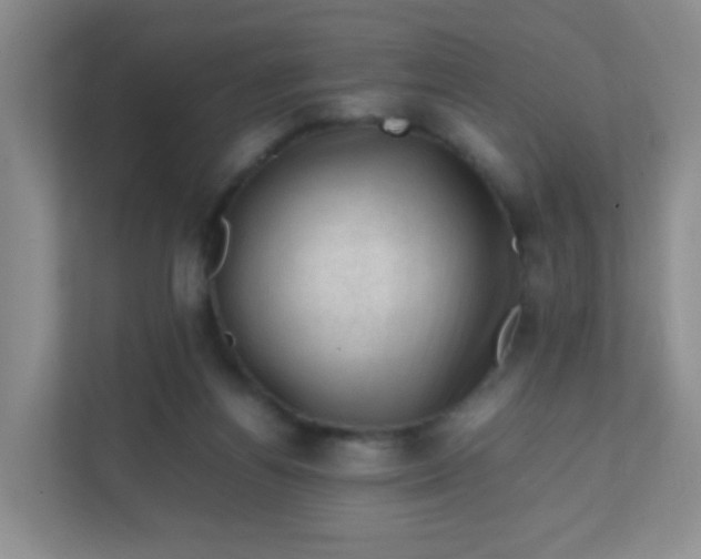 X0000111600164200907301454