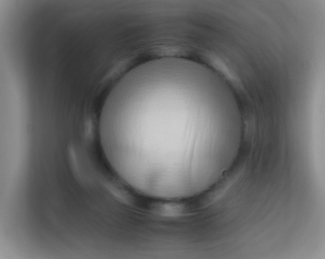 X0000111600165200907301454
