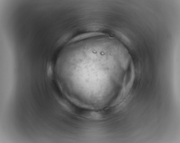 X0000111600166200907301454