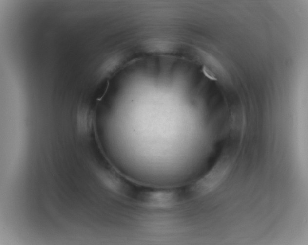 X0000111600168200907301454