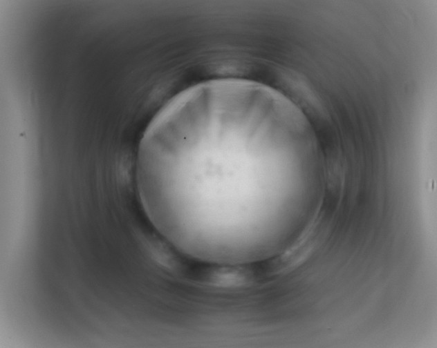 X0000111600175200907301454