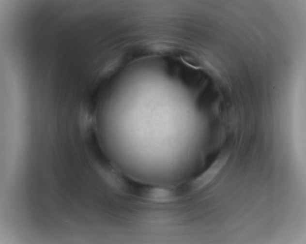 X0000111600176200907301454