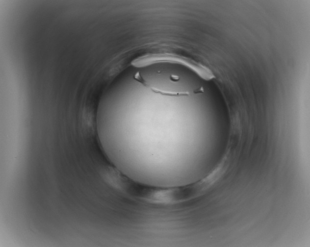 X0000111600178200907301454