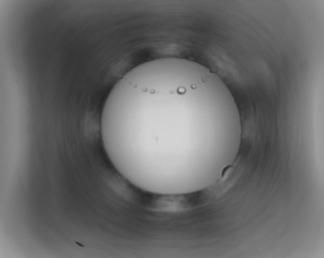 X0000111600179200907301454