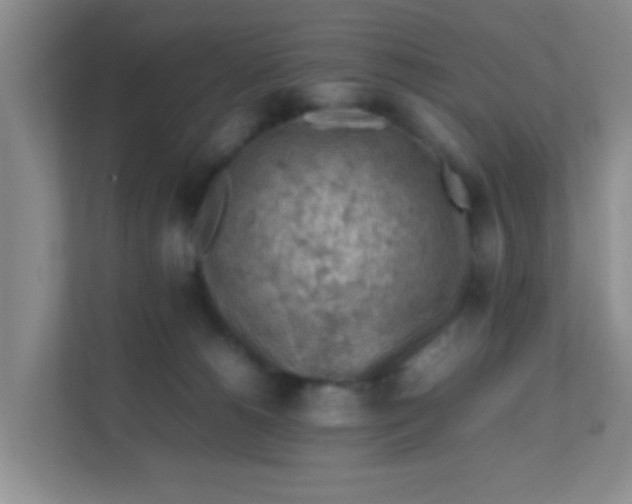 X0000111600180200907301454
