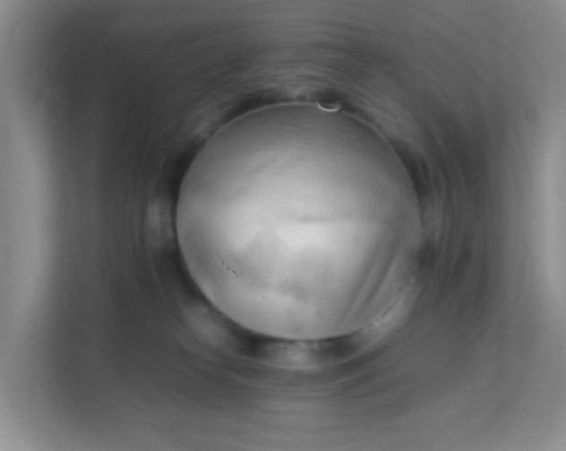 X0000111600182200907301454