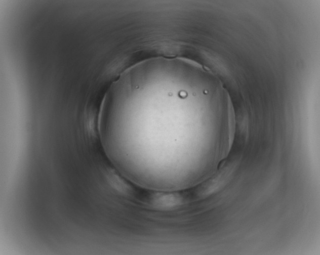 X0000111600185200907301454
