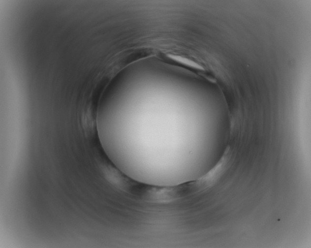 X0000111600186200907301454