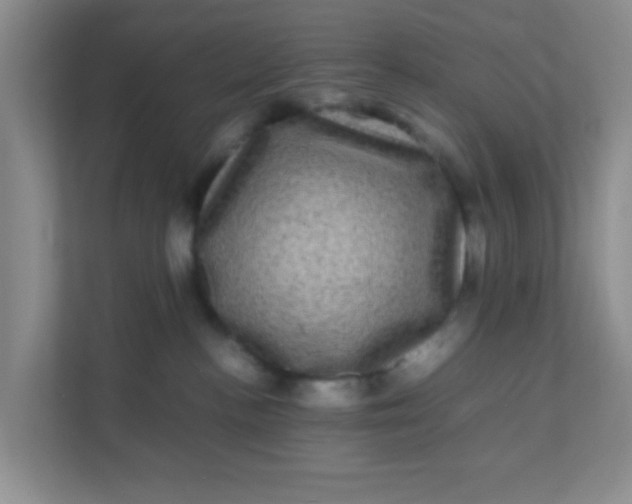 X0000111600188200907301454